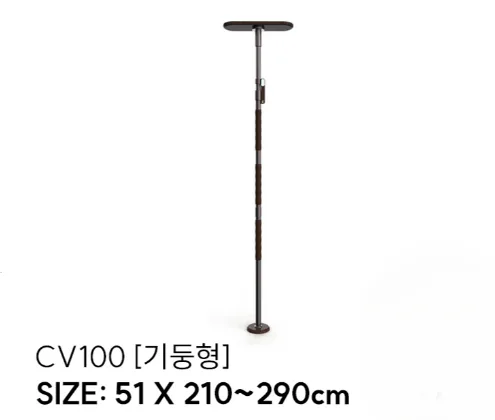 CV100
