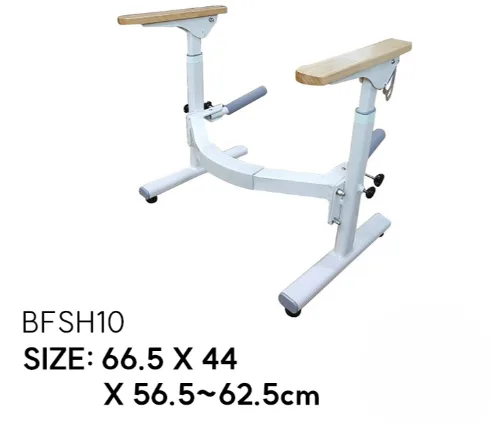BFSH10
